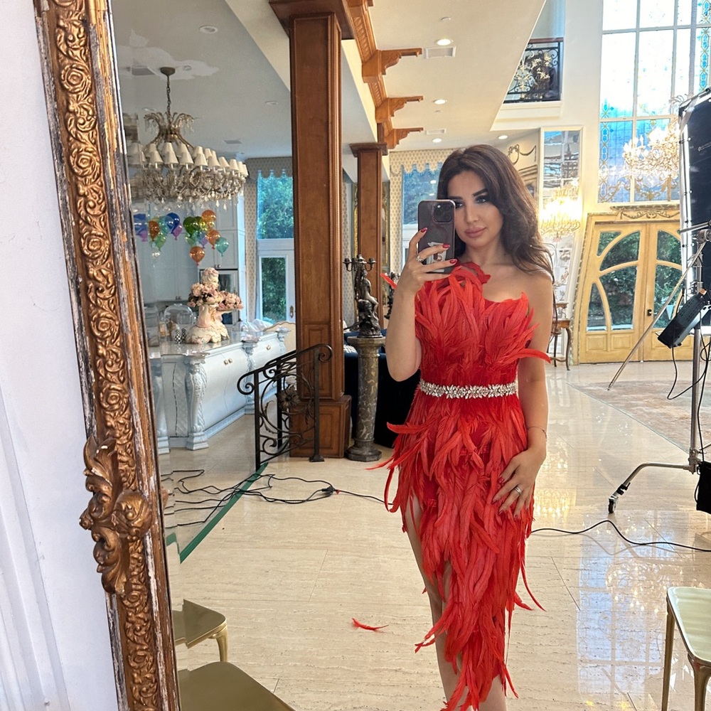 Red dress with feathers, worn for photoshoot one time. Amazing dress .